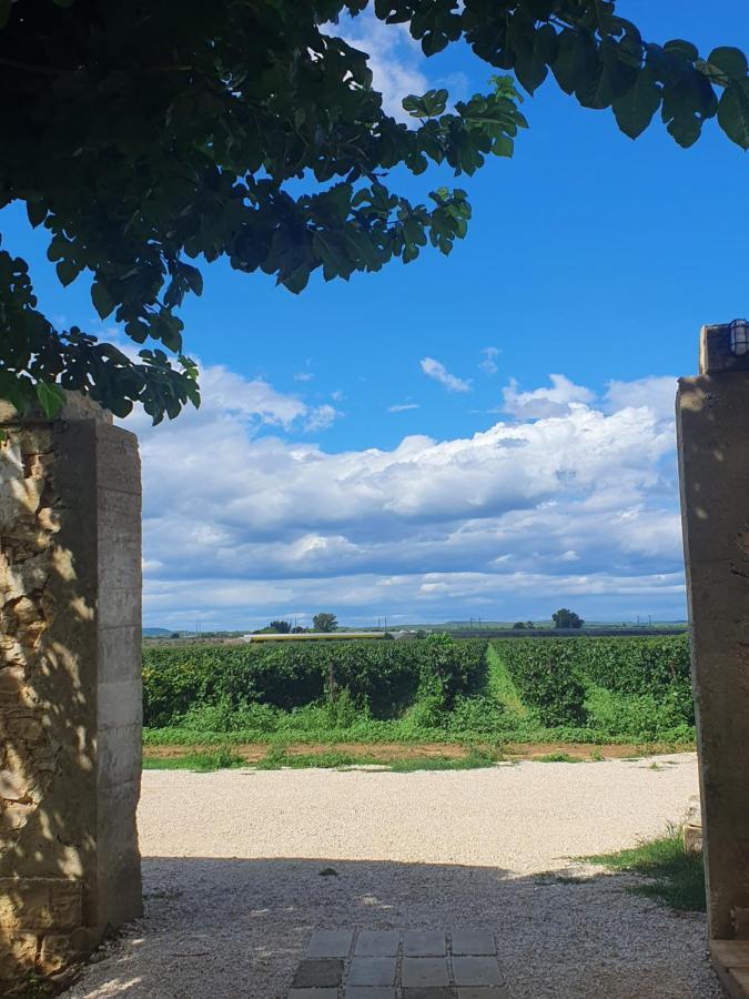 Mas De La Forge Noguier Bed & Breakfast Vergeze Bagian luar foto